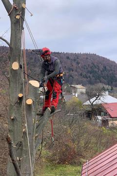 spiľovanie buka