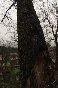 Statické poškodenie